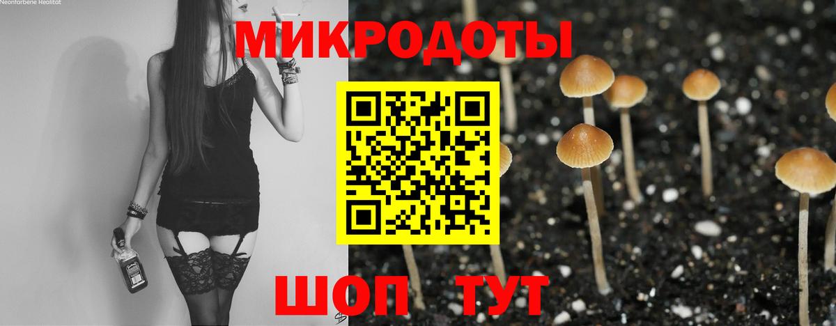 Чусовой  Псилоцибиновые грибы Psilocybine cubensis  Галлюциногенные грибы прущие грибы  Вход с VPN 